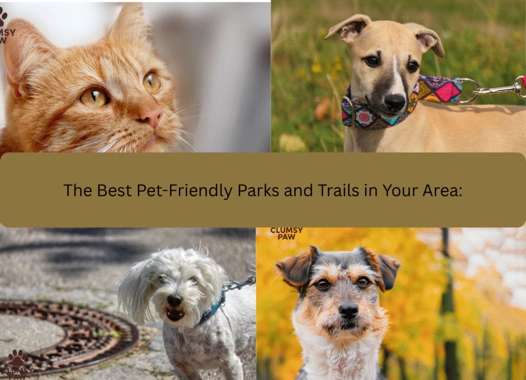 Best Pet Friendly Parks and Trails