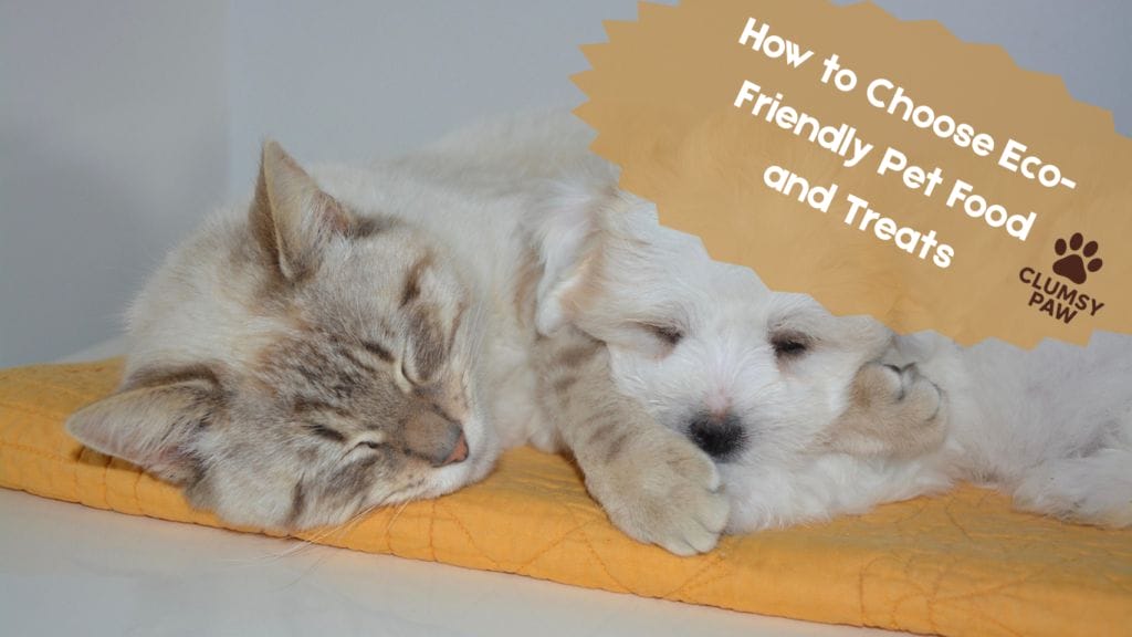 Eco-Friendly Pet Food pet treats