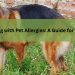 Dealing with Pet Allergies: A Guide for Owners