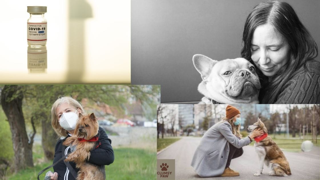 How COVID-19 Changed Why More Pet Owners Are Going Vegan for Their Pets